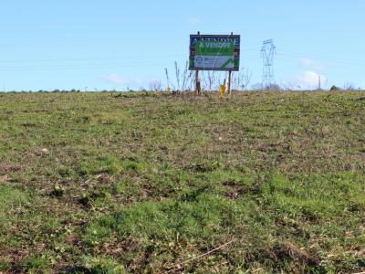 photo For sale Land FAVRIL 59