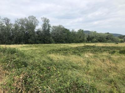 photo For sale Land DONZERE 26
