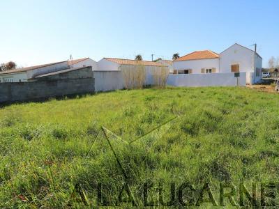 Vente Terrain SAINT-PIERRE-D'OLERON  17