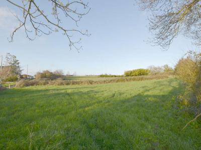 photo For sale Land CLAYE 85