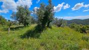 For sale Land Claviers  83830 1594 m2