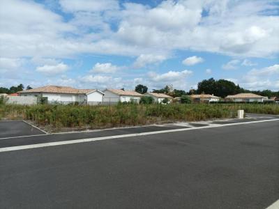 For sale Land PARENTIS-EN-BORN  40