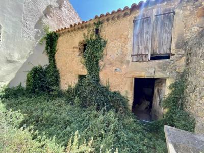 photo For sale House BIZANET 11