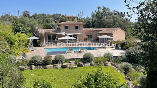 Vente Maison PORTO-VECCHIO 