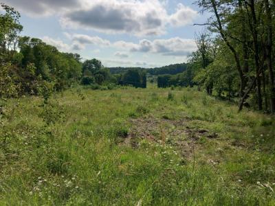 photo For sale Land BONNETAN 33