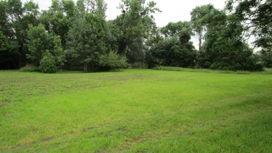 For sale Land JONCHERE  85