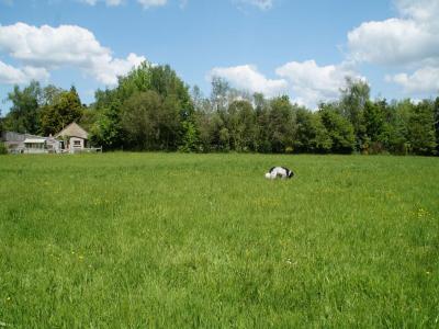 For sale Land TAUPONT  56