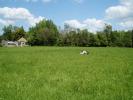 For sale Land Taupont  56800 2096 m2
