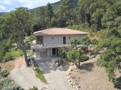 For sale House SAINTE-LUCIE-DE-PORTO-VECCHIO 