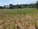 For sale Land Clermont-l'herault  34800 2341 m2
