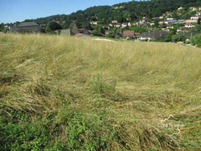 Vente Terrain SARLAT-LA-CANEDA  24