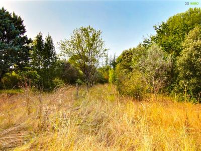 photo For sale Land VILLECROZE 83