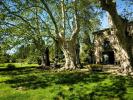 Prestigious house SAINT-REMY-DE-PROVENCE 