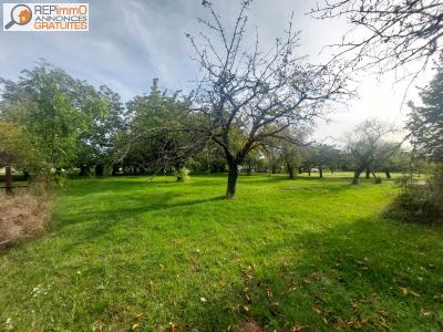 photo For sale Land SEGNY 01