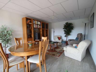 Vente Appartement 3 pices ALBI 81000