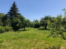 For sale Land Beton-bazoches  77320 1220 m2