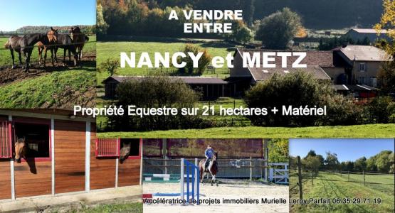 photo For sale House METZ 57