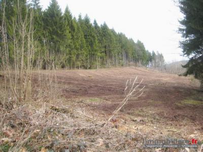 photo For sale Land SAINT-DIE 88