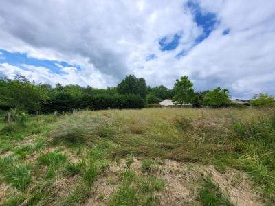 Vente Terrain SAINT-GENES-DE-LOMBAUD  33