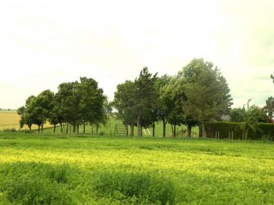 For sale Land FRESNE-LES-REIMS  51