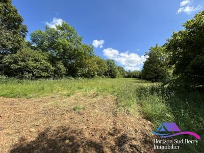photo For sale Land MONTGIVRAY 36