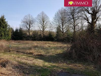 photo For sale Land AURIERES 63