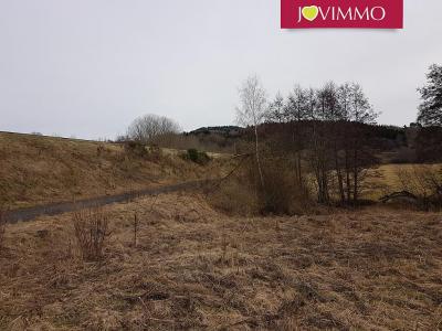 photo For sale Land AURIERES 63