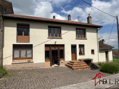 For sale House SERQUEUX  52