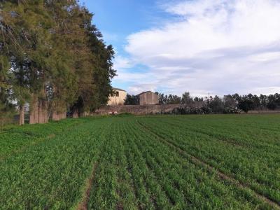 For sale House LUCCIANA 