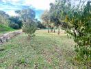 Acheter Terrain Sainte-lucie-de-porto-vecchio 137500 euros