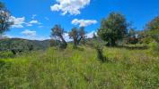 For sale Land Claviers  83830 1240 m2