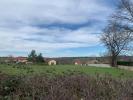 Acheter Terrain Mably 43000 euros