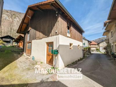 Vente Maison SAINT-JEOIRE 