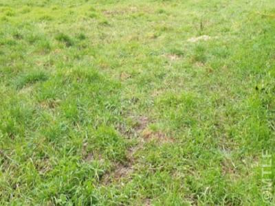 photo For sale Land HERBLAY 95