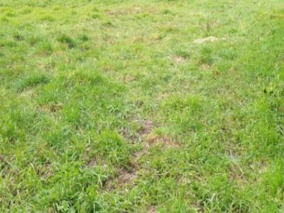 For sale Land CORMEILLES-EN-VEXIN  95