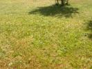 For sale Land Montmagny  95360 508 m2
