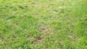 For sale Land Boissy-l'aillerie  95650 1075 m2
