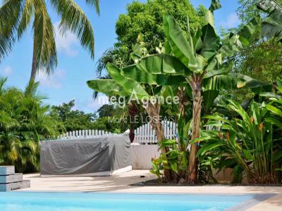 photo For sale House SAINT-FRANCOIS 971