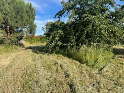 Vente Terrain MONTAIGUT-SUR-SAVE  31