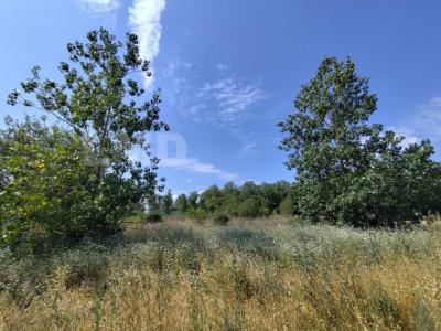 photo For sale Land MARSILLARGUES 34