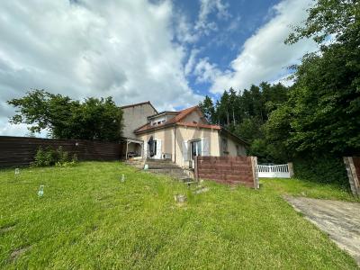 photo For sale House CHATELDON 63