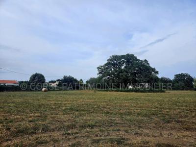 For sale Land PRUNELLI-DI-FIUMORBO  20