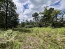 For sale Land Chancelade  24650 3100 m2