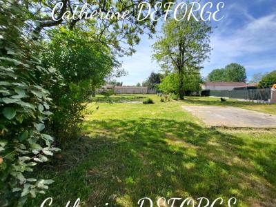 Vente Terrain SAINT-SAVIN 33920