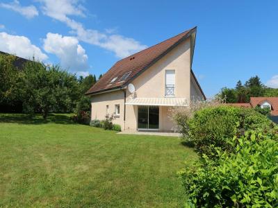 photo For sale House GENEUILLE 25