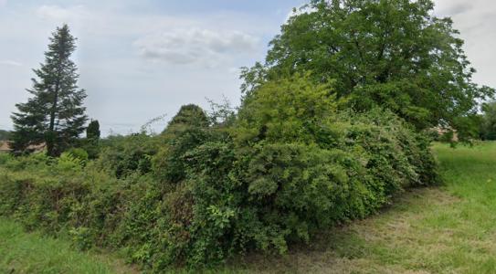 photo For sale Land SAINT-GERMAIN-DU-PUCH 33