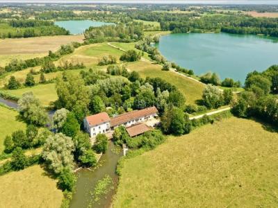 For sale Prestigious house MONTREVEL-EN-BRESSE  01