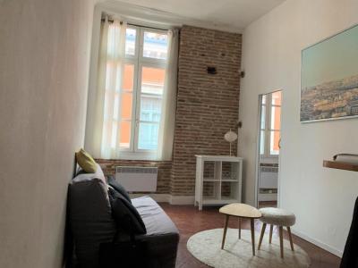 photo For rent Apartment TOULOUSE 31