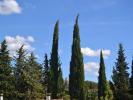 House SAINT-REMY-DE-PROVENCE 