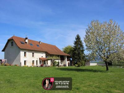 Vente Maison SAINT-MARTIN-DE-VAULSERRE  38